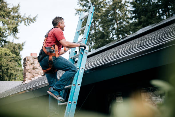 Best Emergency Roof Repair Services  in Cordova, AK