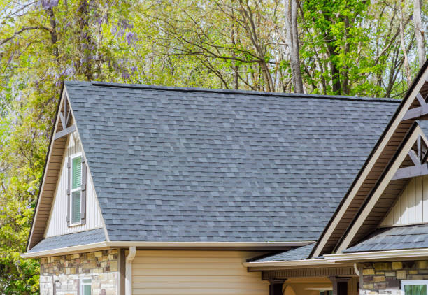 Roof Insulation Installation in Cordova, AK